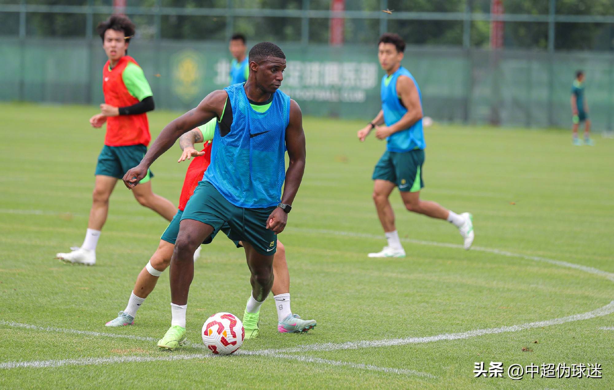 仅感染了队 仅感染了队